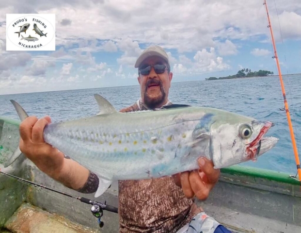 A Mackerel with our friend Vafa (Belgium), April 2025