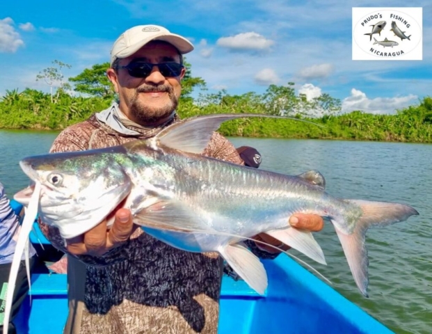 A Cat fish with our friend Vafa (Belgium), April 2025