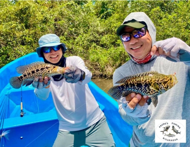 Guapote tiger with our friends Roy and Kiu (Singapore), April 2025