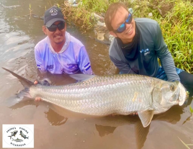 A Tarpon with our friend Kiu (Singapore), April 2025
