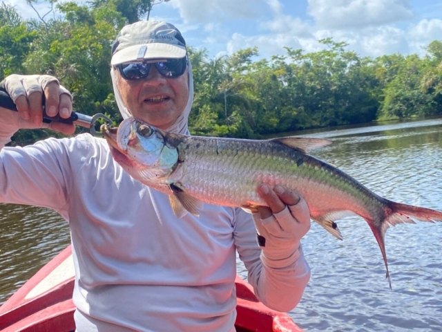 A Baby Tarpon with our friend Mr. Pol (Netherlands), April 2025